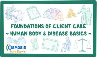 Foundations of Client Care 1: Human Body and Disease Basics (edX)