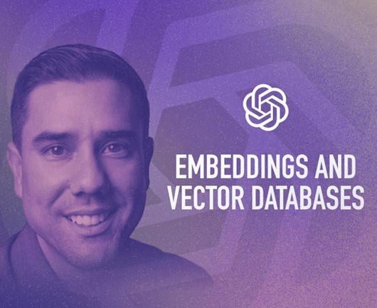 Learn Embeddings and Vector Databases (Coursera)