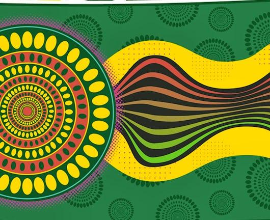 Black Canadians: History, Presence, and Anti-Racist Futures (Coursera)