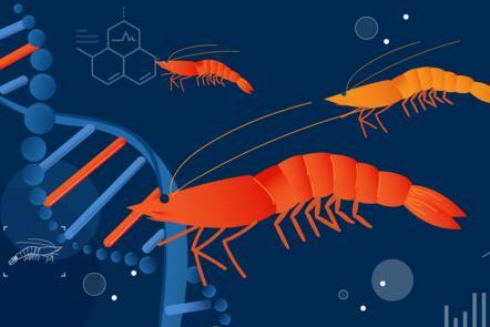 Molecular Biology: How to Detect Pathogens in Aquaculture (FutureLearn)