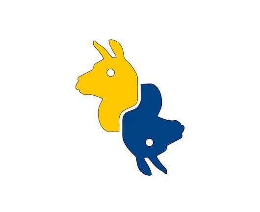 Llama for Python Programmers (Coursera)