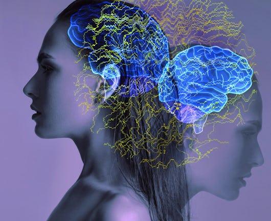 Human Cognitive Capacities & Limitations (Coursera)