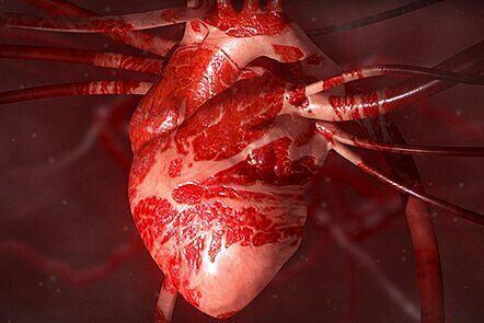 Heart Health: A Beginner's Guide to Cardiovascular Disease (FutureLearn)