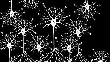 Fundamentals of Neuroscience, Part 2: Neurons and Networks (edX)