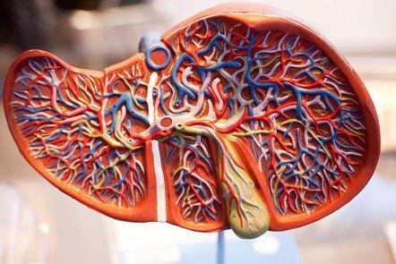 Liver Disease: Looking After Your Liver (FutureLearn)