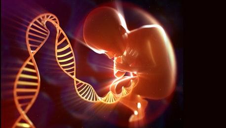 Genes and the Human Condition (From Behavior to Biotechnology) (Coursera)