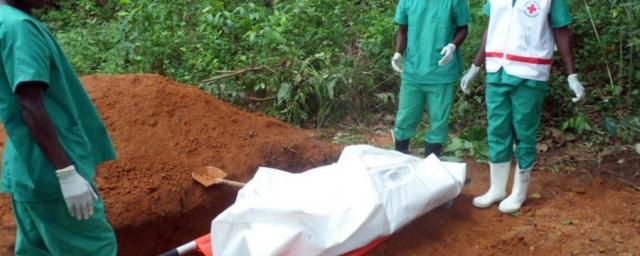 Ebola in Context: Understanding Transmission, Response and Control (FutureLearn)