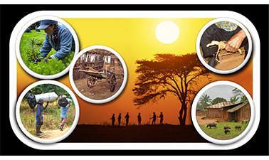Forests and Livelihoods in Developing Countries (edX)