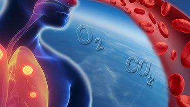 Comprendre la respiration (edX)