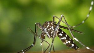 Contrôler une épidémie de maladies infectieuses émergentes (FUN)