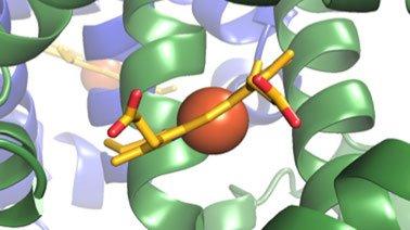 Principles of Biochemistry (edX)