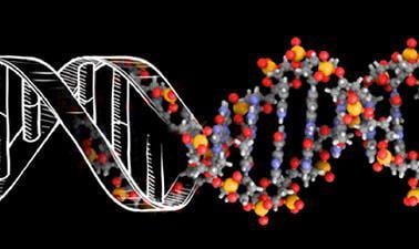 DNA: Biology’s Genetic Code (edX)