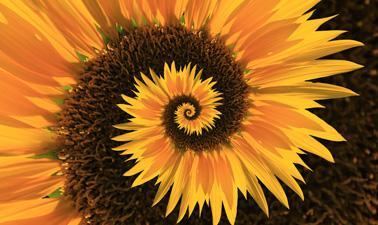 Philosophy and Critical Thinking (edX)