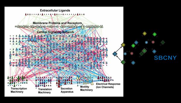 Introduction to Systems Biology (Coursera)