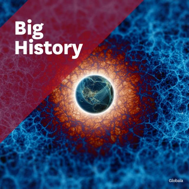 Big History: Connecting Knowledge (Coursera)