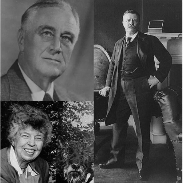 The Rooseveltian Century (Coursera)