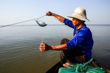  Food and our Future: Sustainable Food Systems in Southeast Asia (FutureLearn)