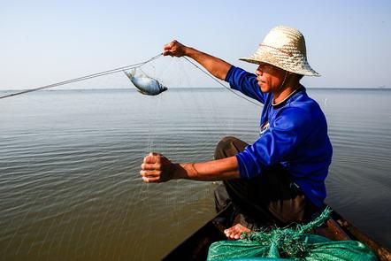 Food and our Future: Sustainable Food Systems in Southeast Asia (FutureLearn)