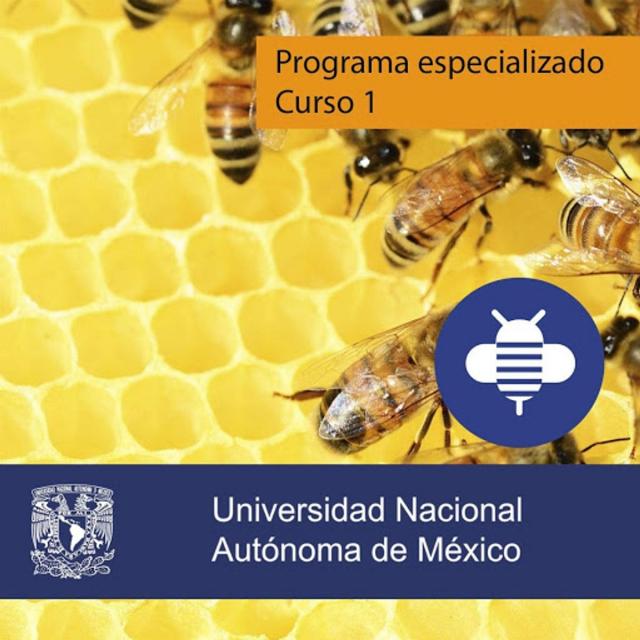 Introducción a la Estrategia (Coursera)