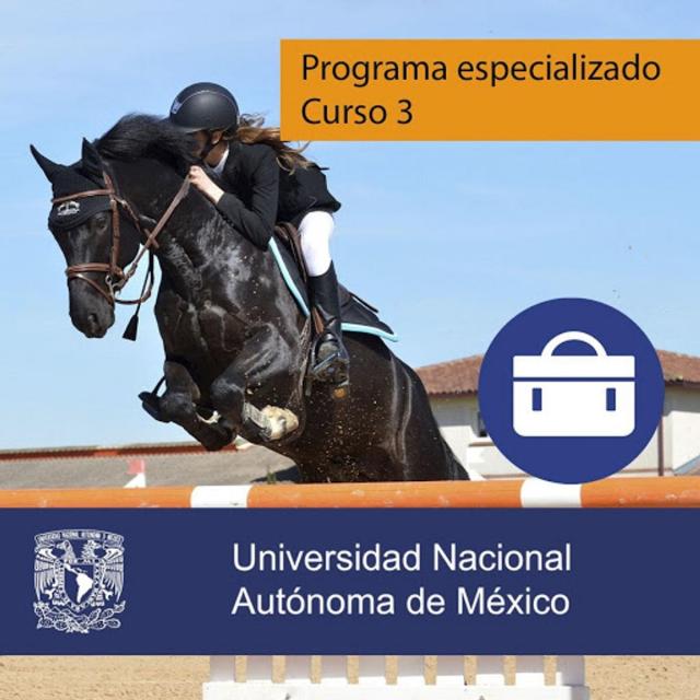 Los obstáculos y la conducción en las negociaciones (Coursera)