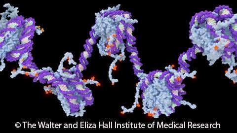 Epigenetic Control of Gene Expression (Coursera)