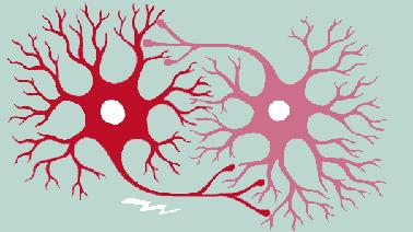 Fundamentals of Neuroscience, Part 1: The Electrical Properties of the Neuron (edX)