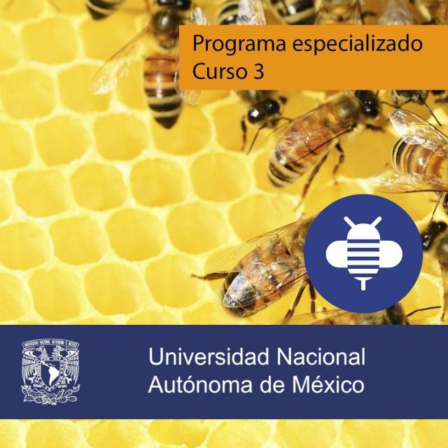 Introducción al Mercado (Coursera)