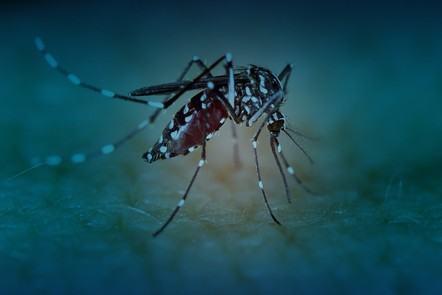 Preventing the Zika Virus: Understanding and Controlling the Aedes Mosquito (FutureLearn)