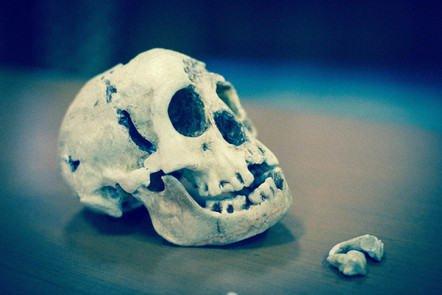 Homo Floresiensis Uncovered: The Science of ‘the Hobbit’ (FutureLearn)