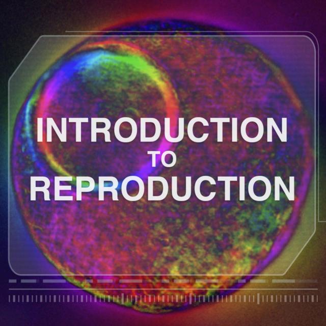 Introduction to Reproduction (Coursera)