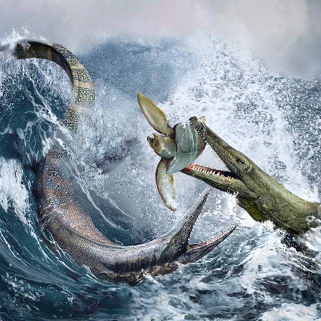 Paleontology: Ancient Marine Reptiles (Coursera)