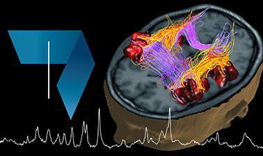 Fundamentals of Biomedical Imaging: Ultrasounds, X-ray, positron emission tomography (PET) and applications (edX)