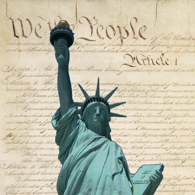 Chemerinsky on Constitutional Law - Individual Rights and Liberties (Coursera)