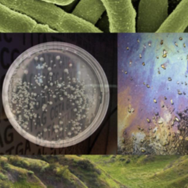 Engineering Life: Synbio, Bioethics & Public Policy (Coursera)