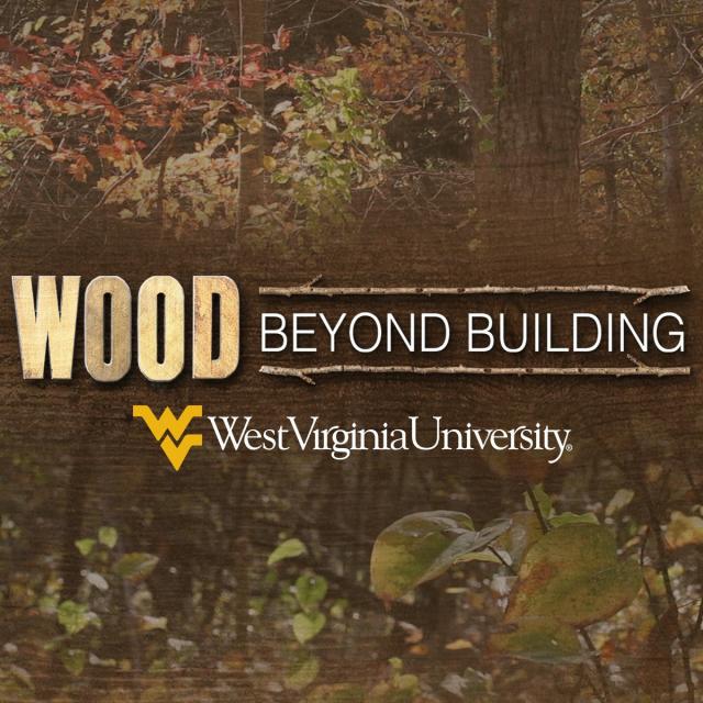 Wood Science: Beyond Building (Coursera)