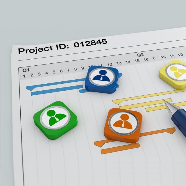 IT Project Management (Coursera)