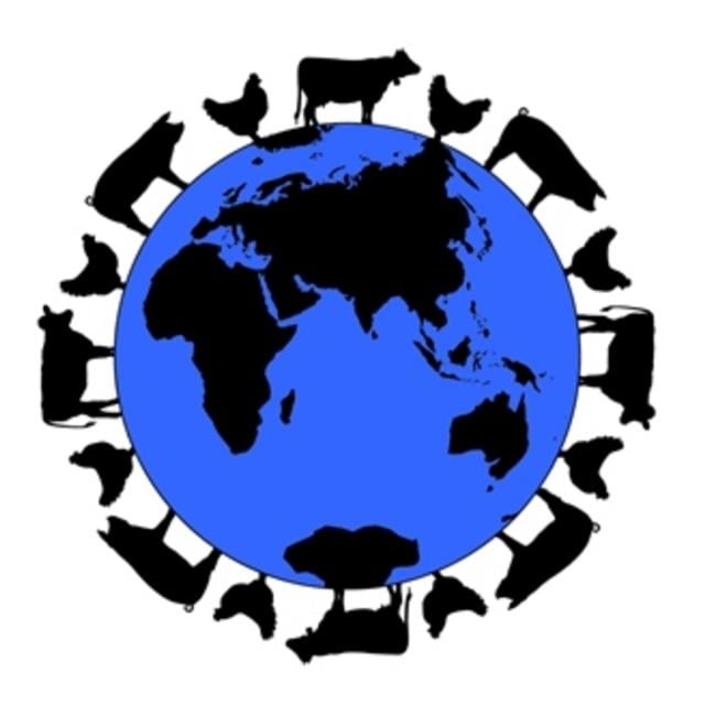 Feeding the World (Coursera)