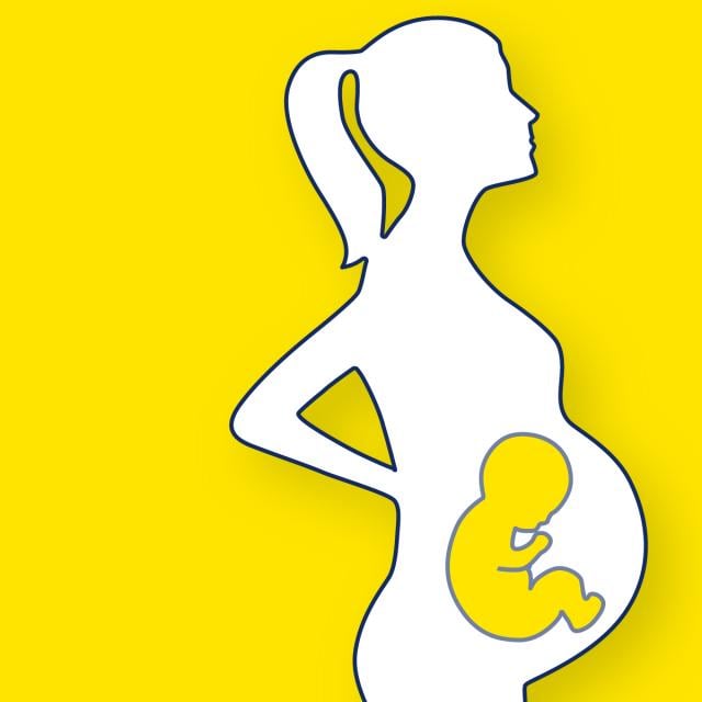Nutrition and Lifestyle in Pregnancy (Coursera)