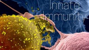 Innate Immunity (FUN)