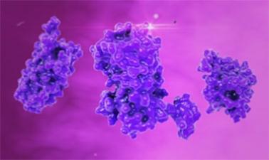 Proteins: Alignment, Analysis and Structure (edX)