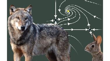 Differential Equations: 2x2 Systems (edX)