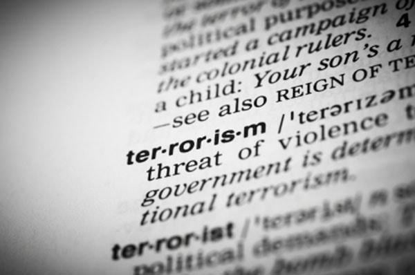 Terrorism and Counterterrorism: Comparing Theory and Practice (Coursera)