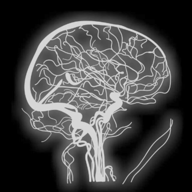 Fundamental Neuroscience for Neuroimaging (Coursera)