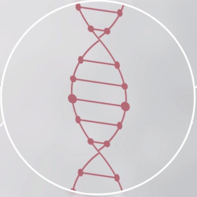 From Disease to Genes and Back (Coursera)