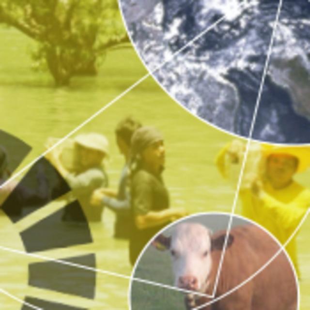 The Sustainable Development Goals – A global, transdisciplinary vision for the future (Coursera)