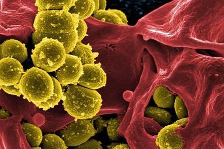 Optimización del uso de antimicrobianos: Gestión de la resistencia a los antimicrobianos (FutureLearn)