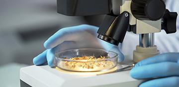 Introducción a los biomateriales (Miríada X)