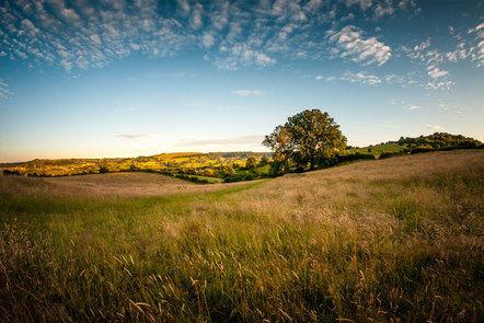 Valuing Nature: Should We Put a Price on Ecosystems? (FutureLearn)