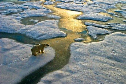 Tipping Points: Climate Change and Society (FutureLearn)