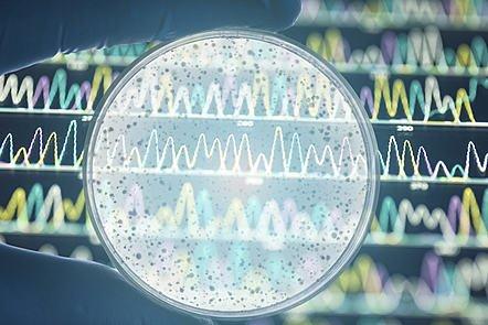 Bacterial Genomes: Disease Outbreaks and Antimicrobial Resistance (FutureLearn)